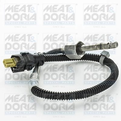 Sensor, exhaust gas temperature